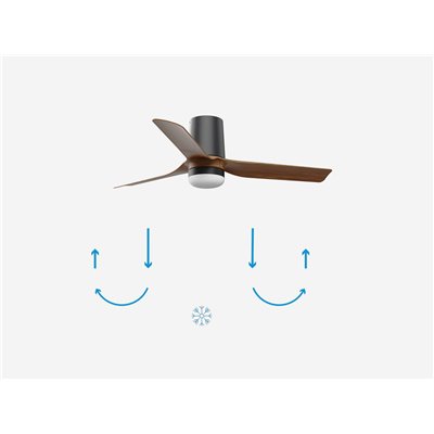 Ventilador Led de techo FARO Barcelona 33835-1TW MINI PUNT TUB S negro y nogal