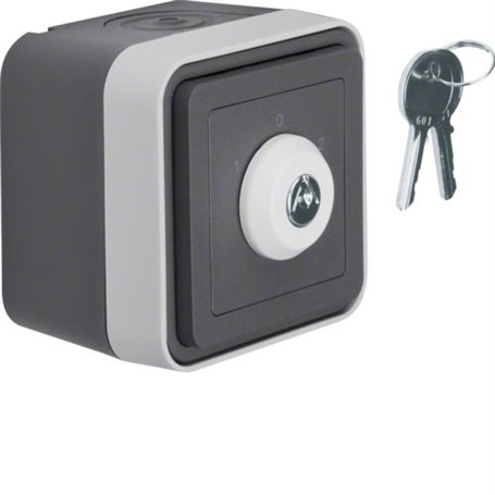 Interruptor con llave Monobloc de superficie estanco HAGER Cubyko WNC036 3 posiciones