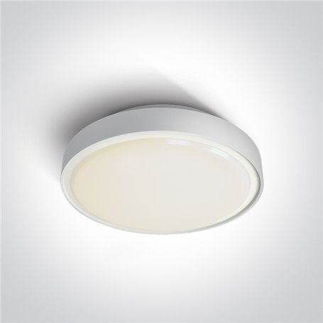 Plafon LED superficie ONE LIGHT 67280BN/W/W blanco 30w 3000K IP65