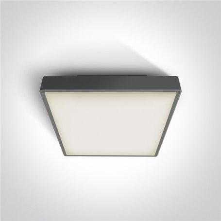 Plafon LED superficie ONE LIGHT 67282AN/AN/W antracita 24w 3000K IP65