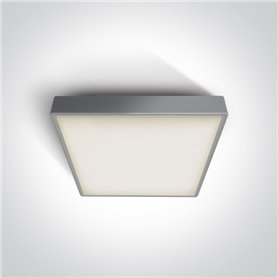 Plafon emergencia LED superficie ONE LIGHT 67282ANE/G/W gris 16w 3000K IP65