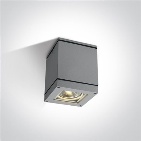 Downlights techo ONE LIGHT 67132D/G gris IP54
