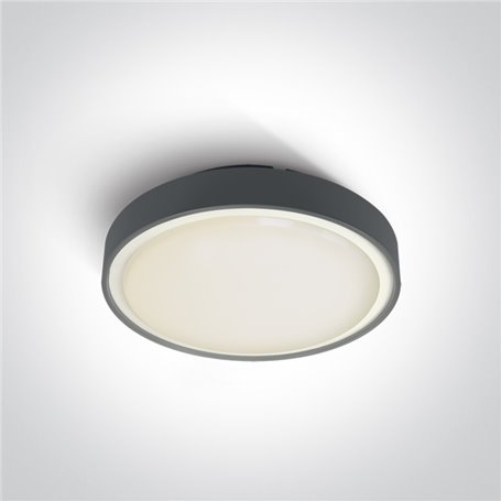 Plafon superficie ONE LIGHT 67280EA/AN antracita IP65