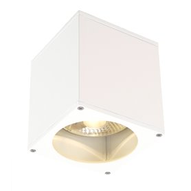 Luminaria techo exterior SLV BIG THEO 229551 Blanco