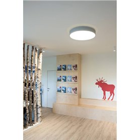 Luminaria Led plafon SLV MEDO 60 AMBIENT REDONDA DALI 1001899 Gris 