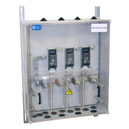Caja general de proteccion Union Fenosa Pinazo PNZ-CGP(BUC)-TS/160-MI 313209