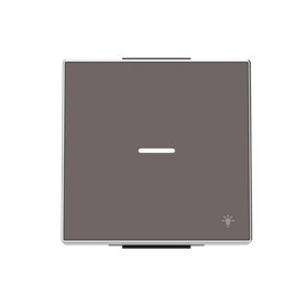 Tecla taupe con simbolo luz y visor NIESSEN 8504.4 TP serie SKY