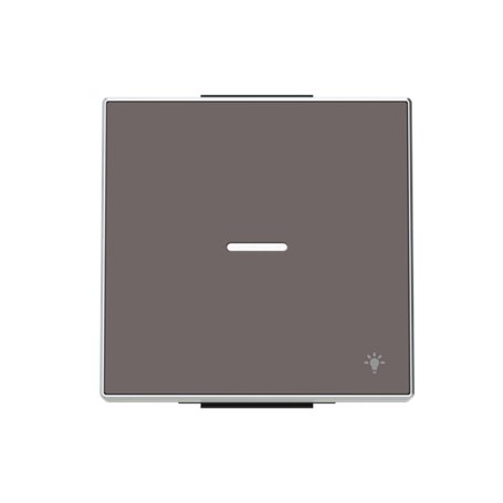 Tecla taupe con simbolo luz y visor NIESSEN 8504.4 TP serie SKY
