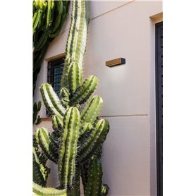 Aplique Led superficie Faro Barcelona 71898 LAKO Madera Teca