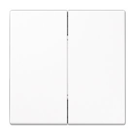 Radioemisor mural friends of Hue JUNG FOHLS995WW serie LS Blanco alpino brillo