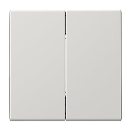 Radioemisor 4C mural Bluetooth low energy JUNG BLELS995LG serie LS Gris claro brillo