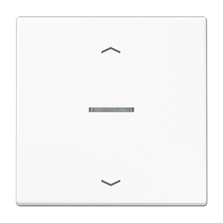 Tecla simple con visor y flechas Jung Home serie LS LS101KO5PLG JUNG Gris claro brillo