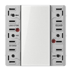 Modulo sensor 24V AC/DC 20mA 1 canal 2 puntos conmutacion LS5212TSM JUNG