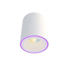 Downlight superficie decorativo CALEX RGB+CCT 6,5W Smart Halo 5301000900 Blanco