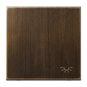 Tecla con simbolo luz serie LS990 JUNG ME2990LAT Laton antik