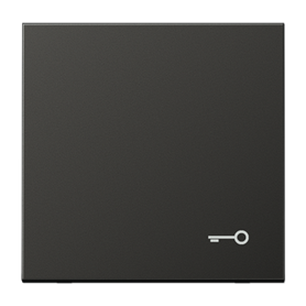 Tecla con simbolo puerta serie LS990 JUNG AL2990TAN Antracita