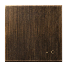 Tecla con simbolo puerta serie LS990 JUNG ME2990TAT Laton antik