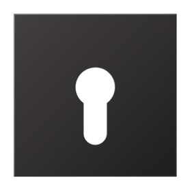 Placa central interruptor a llave serie LS990 JUNG AL2925D Dark