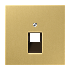 Placa central telefonica serie LS990 JUNG ME2969-1UAC Laton classic