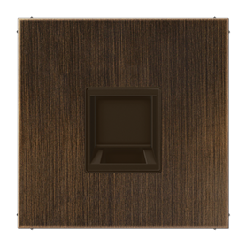 Placa toma Keystone a presion serie LS990 JUNG ME1969-1WEAT Laton antik