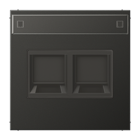 Placa 2 tomas Keystone a presion y regleta serie LS990 JUNG AL1969-2NAWEAN Antracita