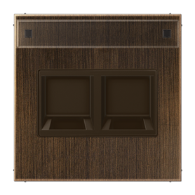 Placa 2 tomas Keystone a presion y regleta serie LS990 JUNG ME1969-2NAWEAT Laton antik