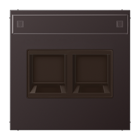 Placa 2 tomas Keystone a presion y regleta serie LS990 JUNG AL1969-25NAWED Dark