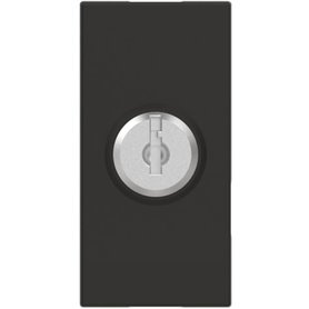 Conmutador de llave BTICINO RG4022 Classia 1 modulo Dark