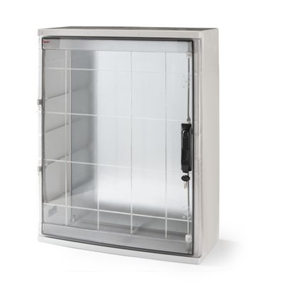 Armario fijacion mural MAGNA IP65 800x600x260 puerta PC FAMATEL 39168-T