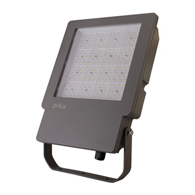 Proyector ENERGY TECH HE exterior PRILUX 576772 160W 750 IP65 Gris