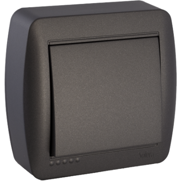 Interruptor bipolar 10AX 250V de superficie serie Mural SOLERA MUR22NGU Grafito