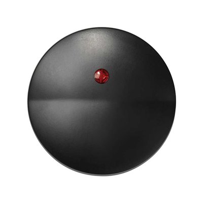 Tecla interruptor con piloto para mecanismos SIMON 88012-38 Simon 88 Grafito