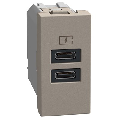 Cargador USB 2 x tipo C 1 módulo BTICINO Light Now YG4191CC stone